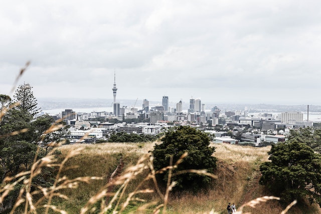 In New Zealand I accumulated debt and decided I needed to start my journey to being debt free