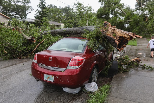 a tree fallen on a car, for times like this is good save an emergency fund